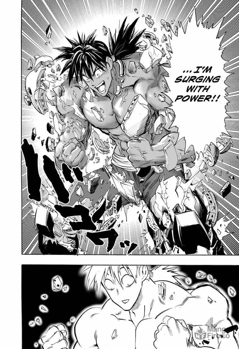 Read One Punch Man chapter 200.1 image 11 on Lezhin