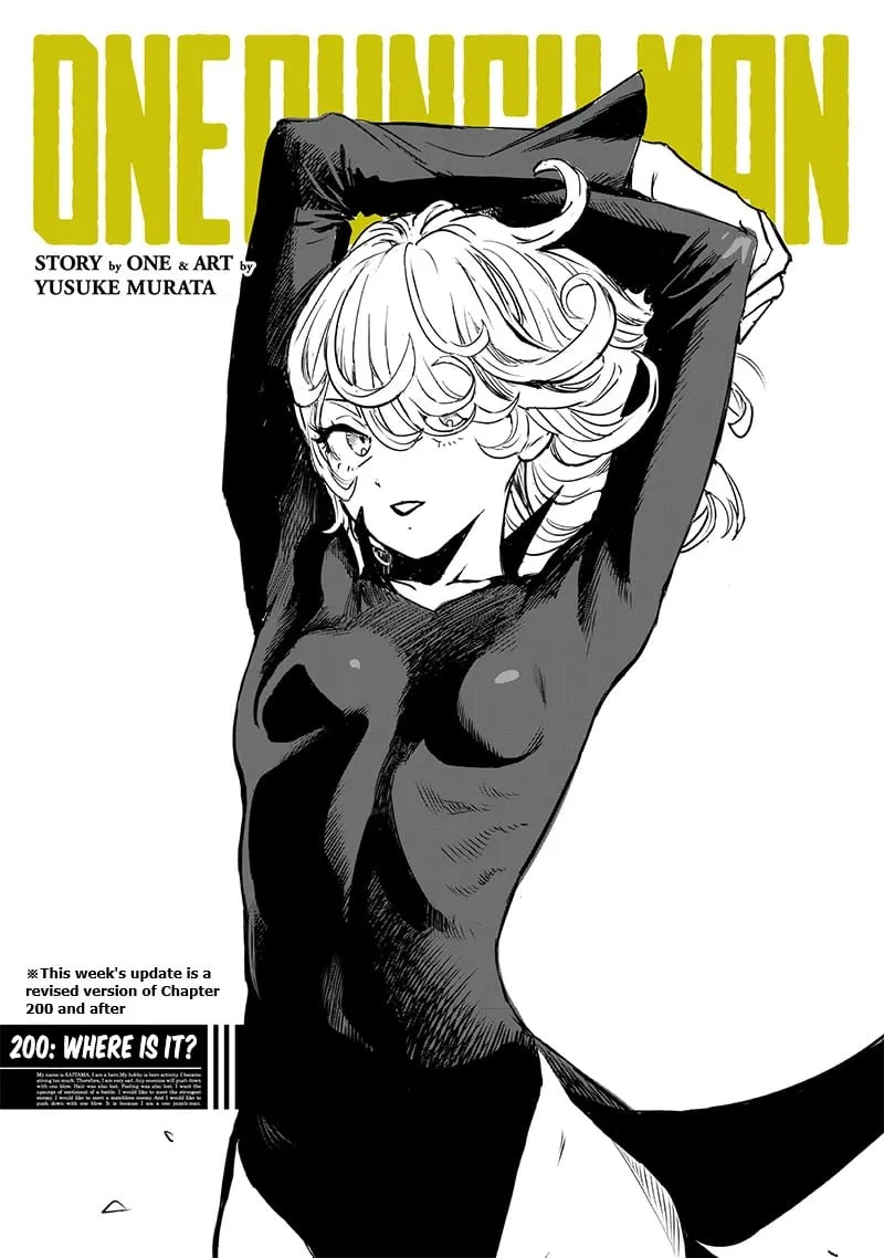 Read One Punch Man chapter 200.5 image 1 on Lezhin