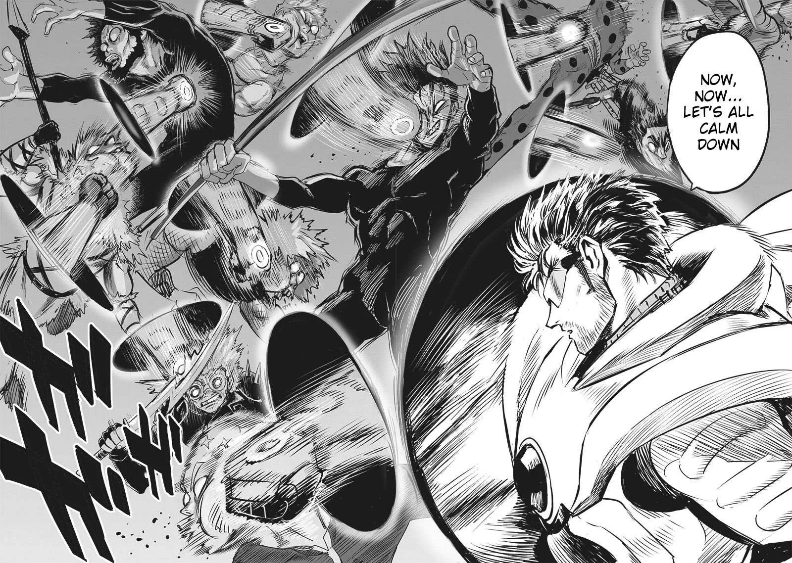 Read One Punch Man chapter 200.5 image 17 on Lezhin