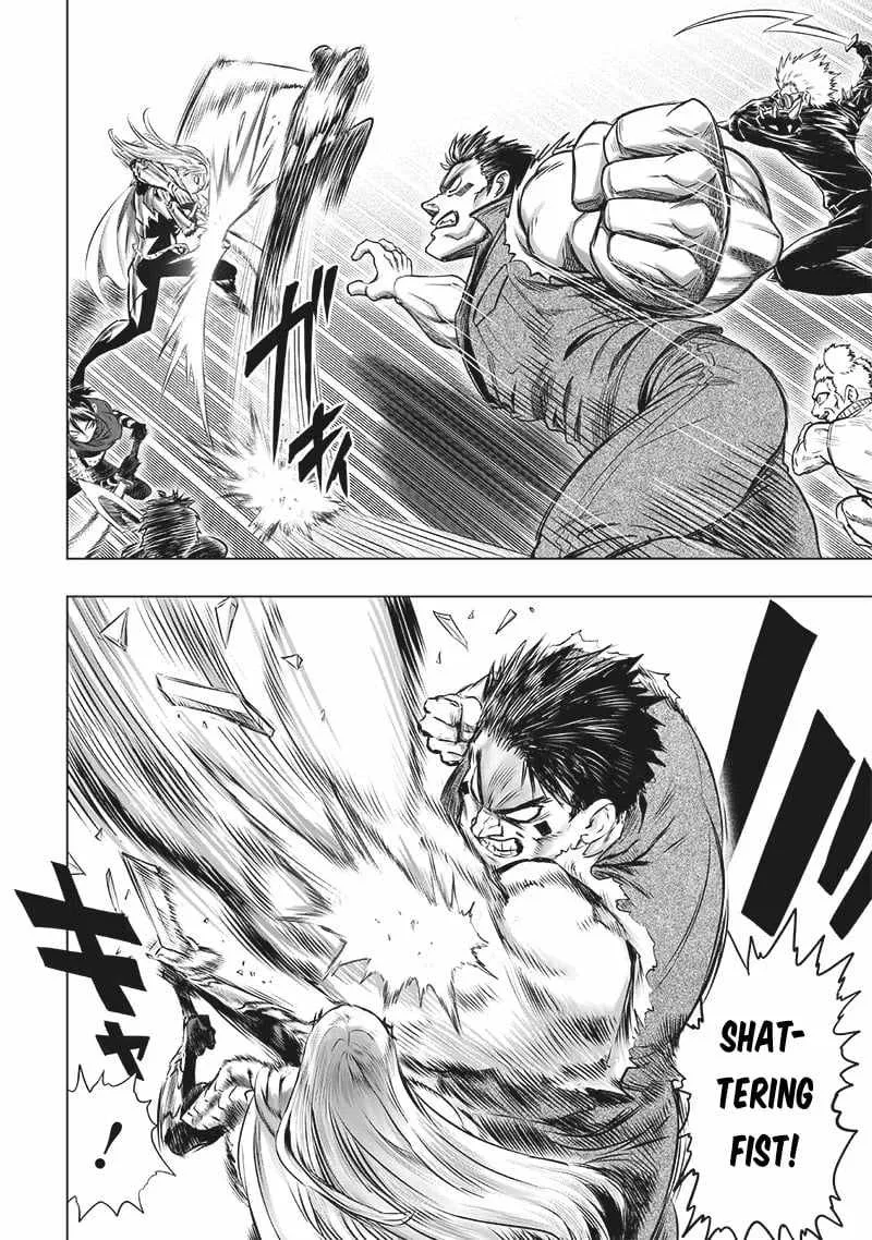 Read One Punch Man chapter 200.5 image 3 on Lezhin