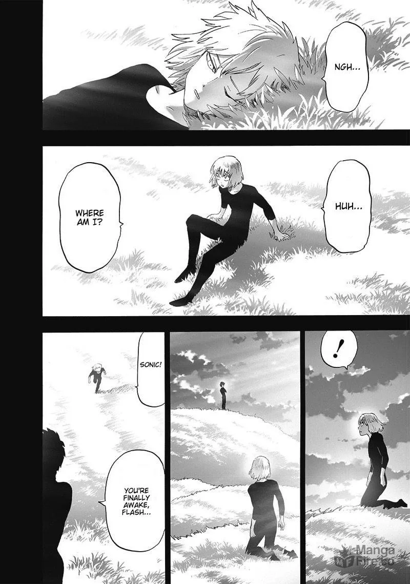 Read One Punch Man chapter 200 image 17 on Lezhin
