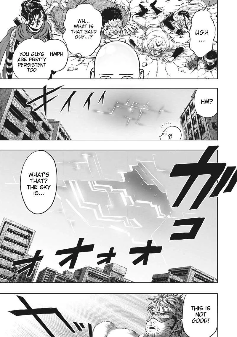 Read One Punch Man chapter 201.5 image 11 on Lezhin