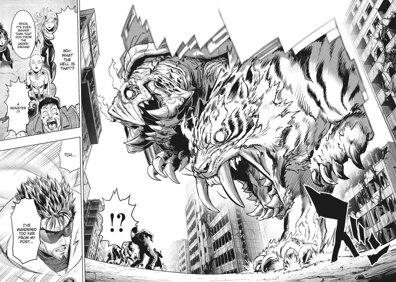 Read One Punch Man chapter 201.5 image 12 on Lezhin