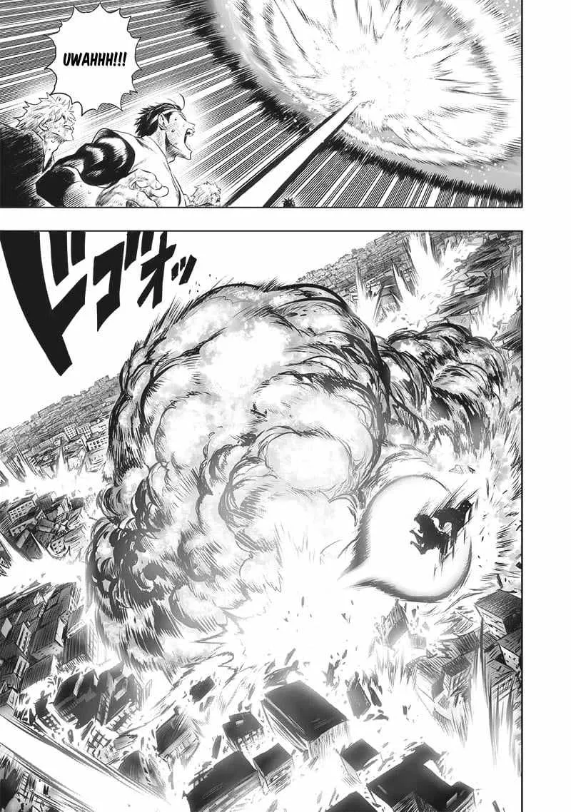 Read One Punch Man chapter 201.5 image 14 on Lezhin