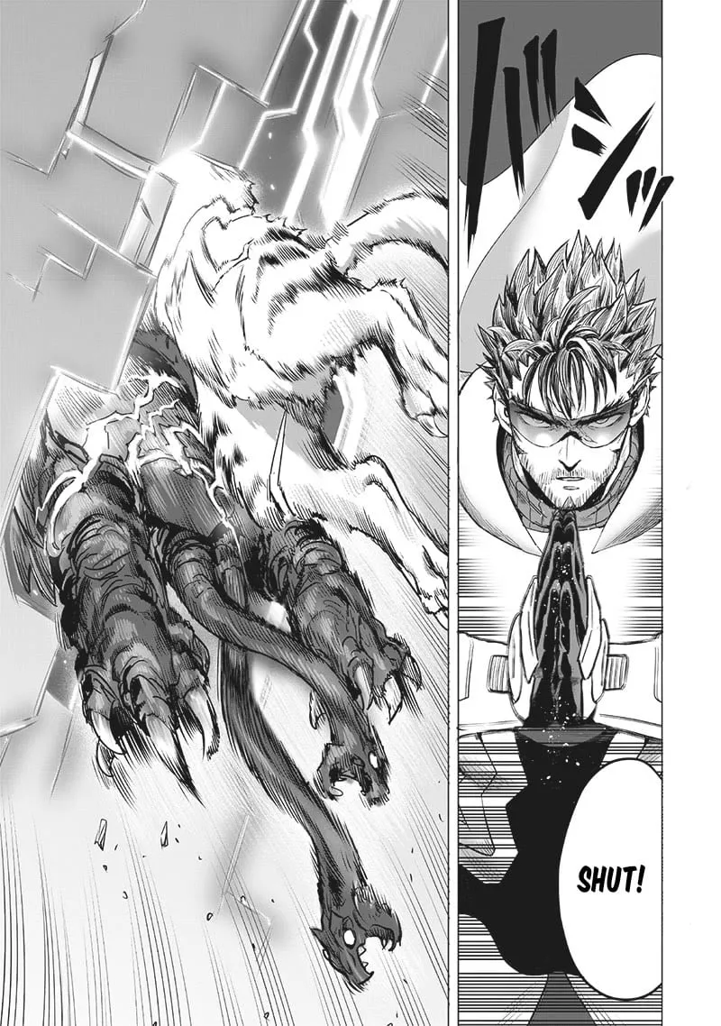 Read One Punch Man chapter 202.5 image 11 on Lezhin