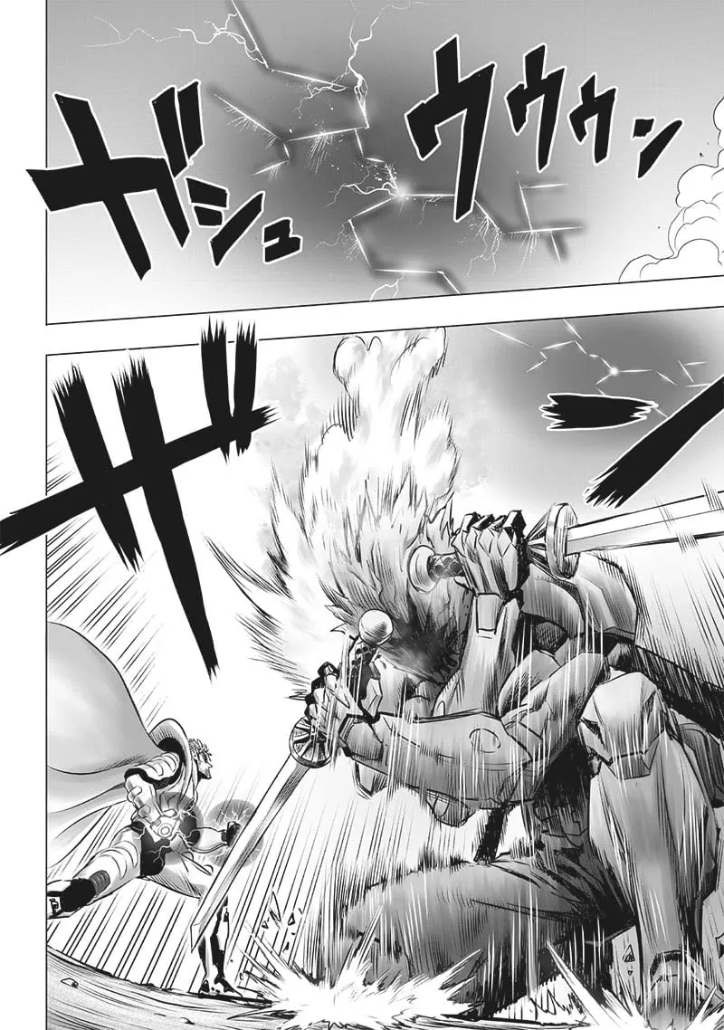 Read One Punch Man chapter 202.5 image 12 on Lezhin