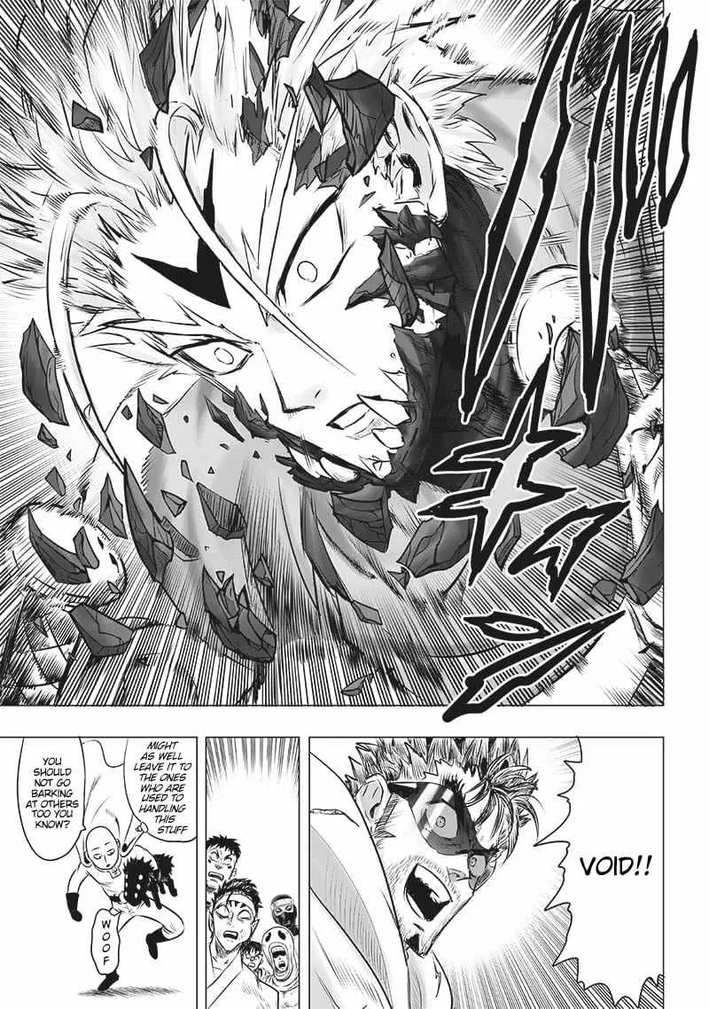 Read One Punch Man chapter 202.5 image 13 on Lezhin