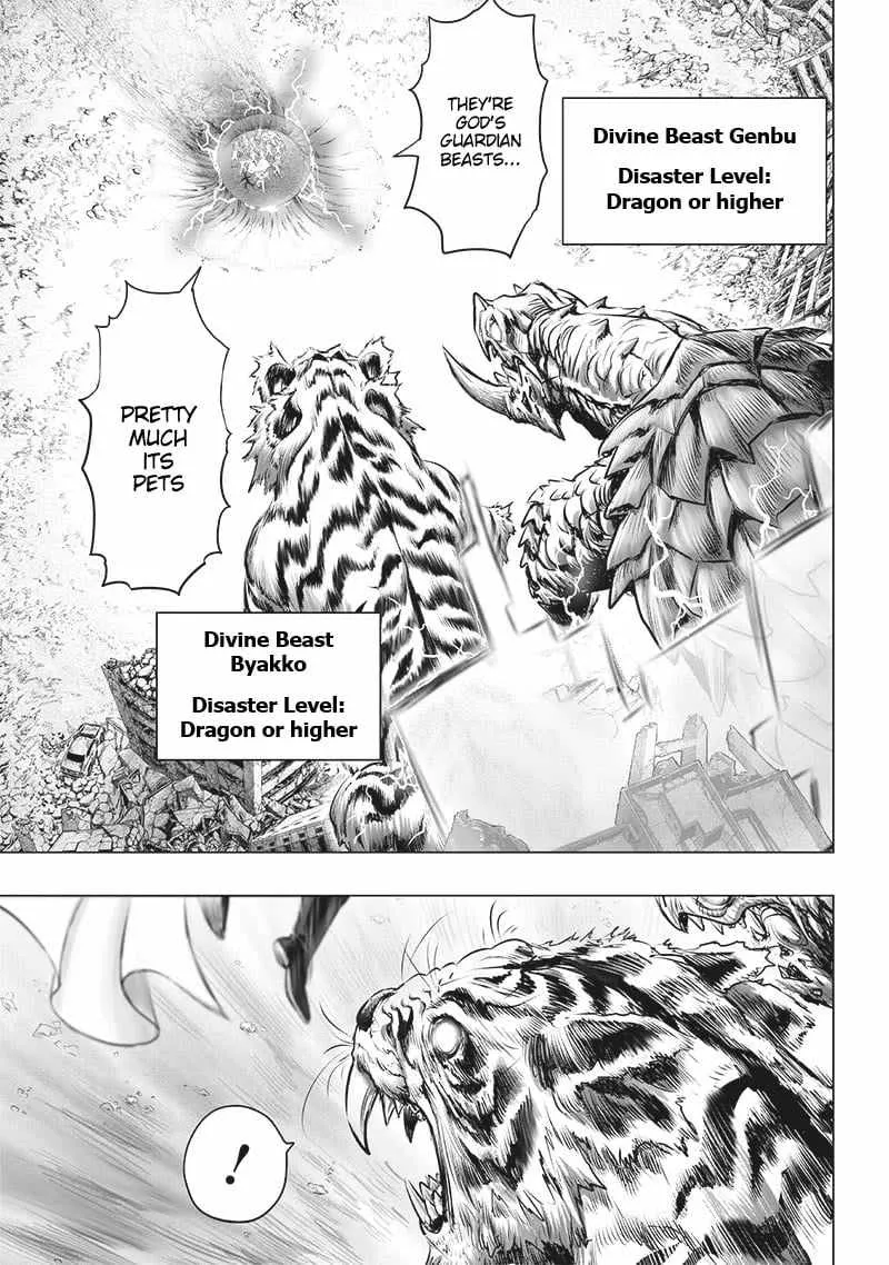 Read One Punch Man chapter 202.5 image 4 on Lezhin
