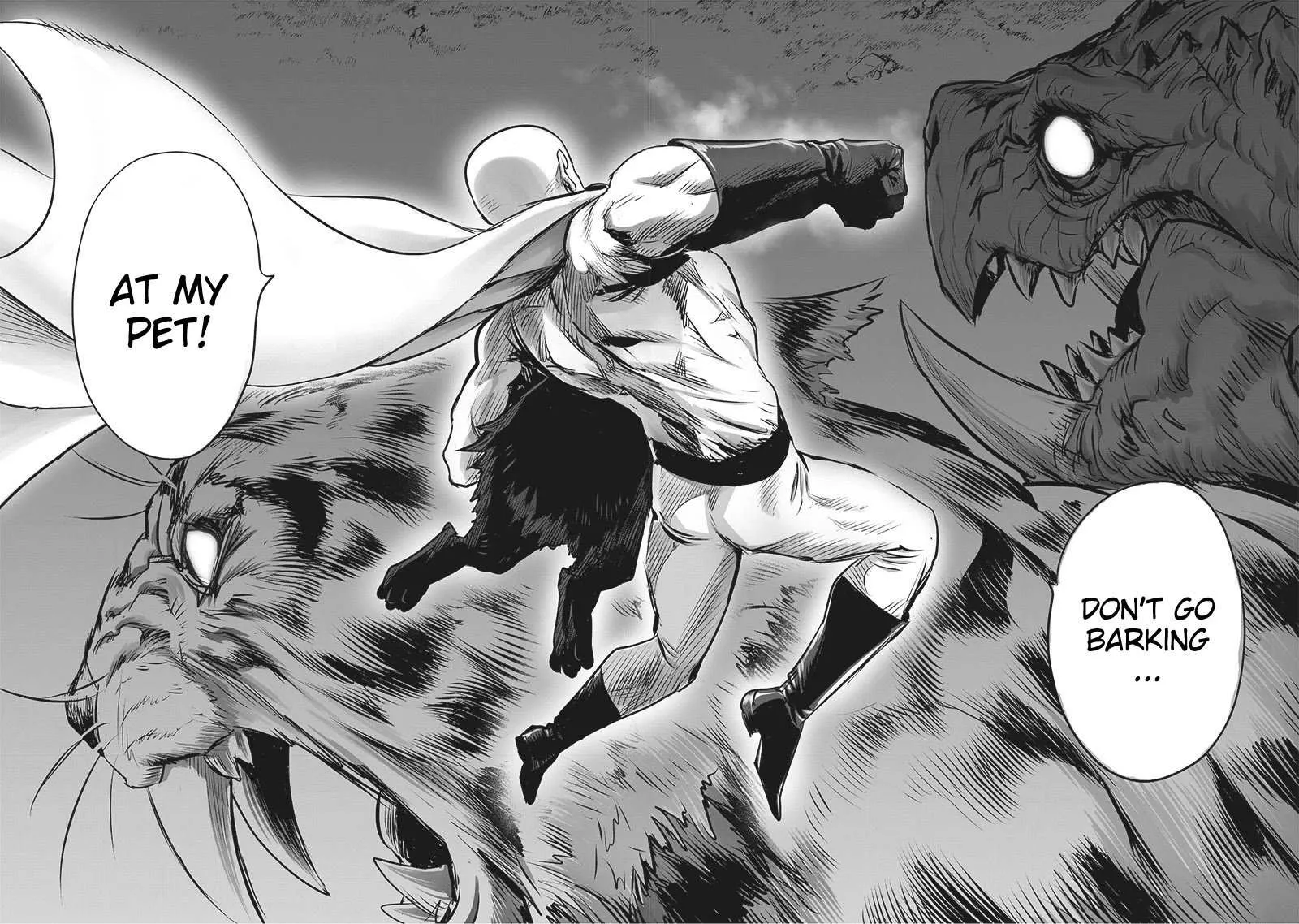 Read One Punch Man chapter 202.5 image 5 on Lezhin