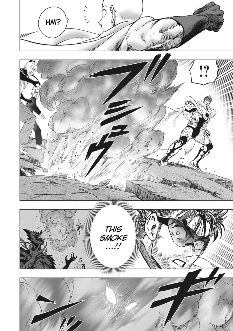 Read One Punch Man chapter 202.5 image 6 on Lezhin