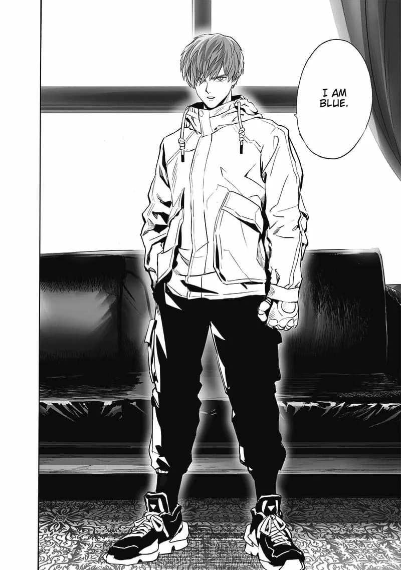 Read One Punch Man chapter 206 image 13 on Lezhin