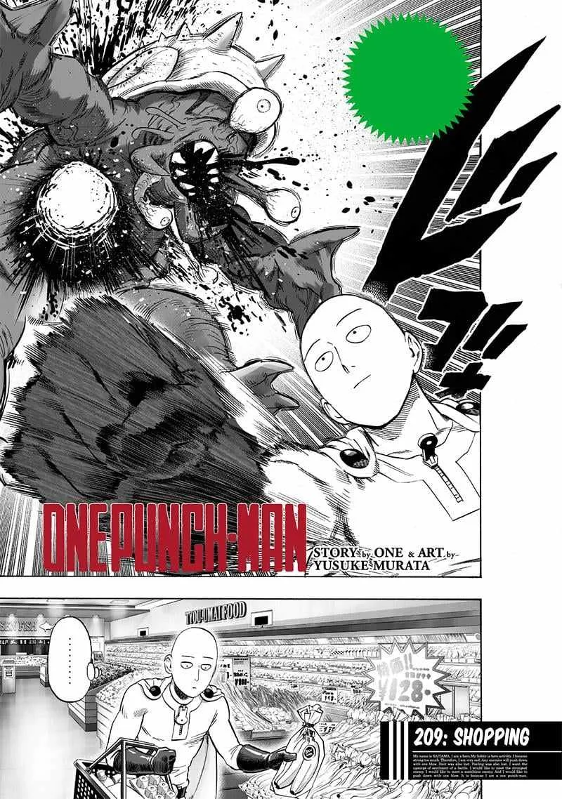 Read One Punch Man chapter 207.5 image 2 on Lezhin