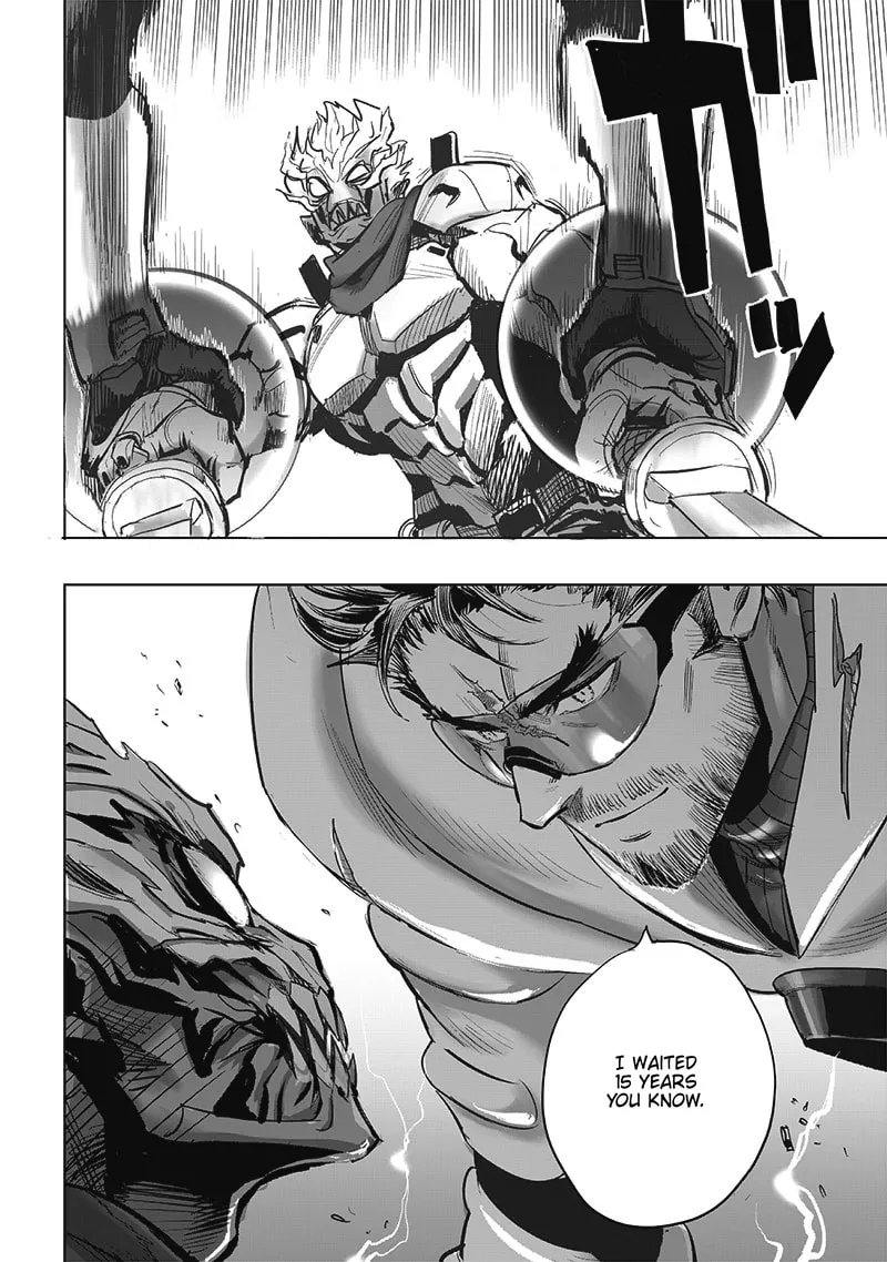 Read One Punch Man chapter 207 image 3 on Lezhin