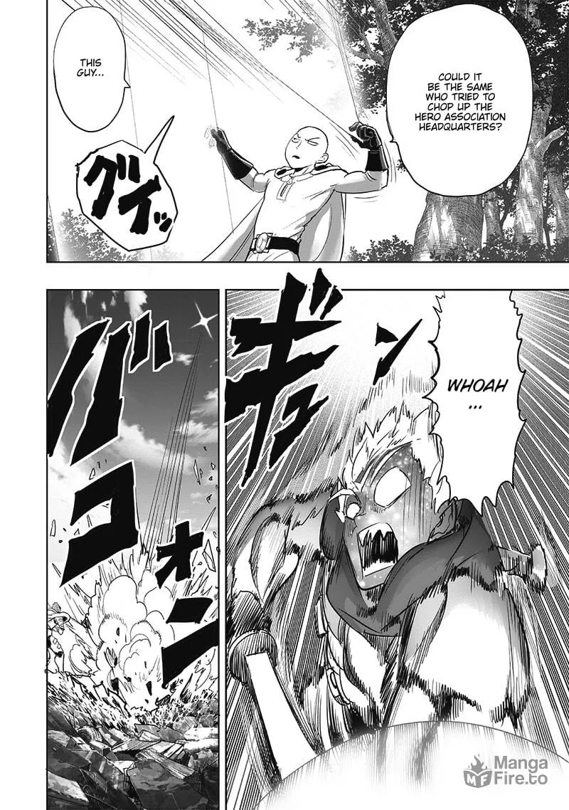 Read One Punch Man chapter 209 image 11 on Lezhin