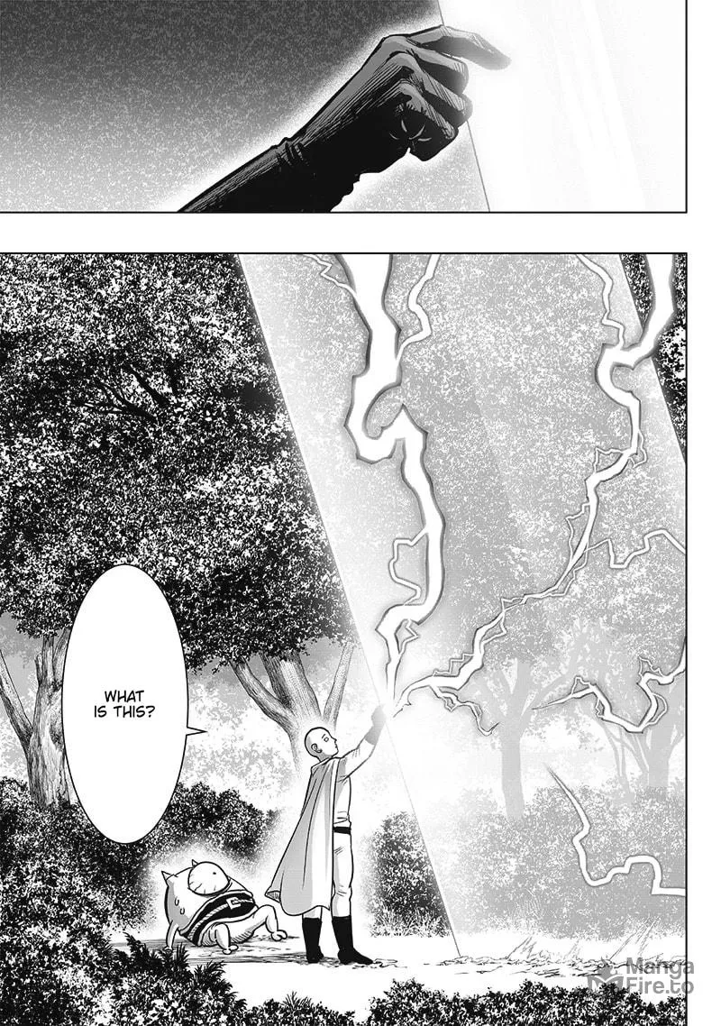 Read One Punch Man chapter 209 image 8 on Lezhin