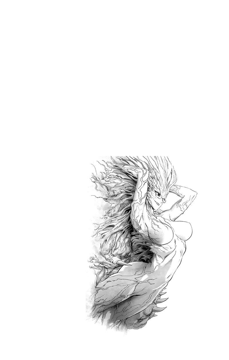 Read One Punch Man chapter 213.8 image 15 on Lezhin