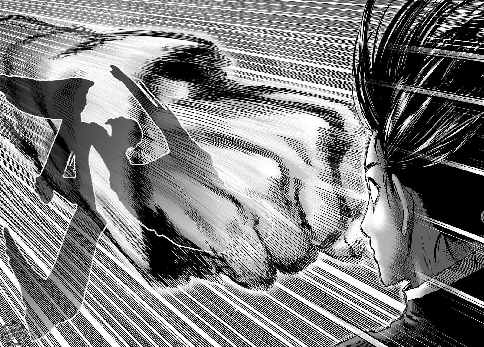 Read One Punch Man chapter 214.1 image 30 on Lezhin