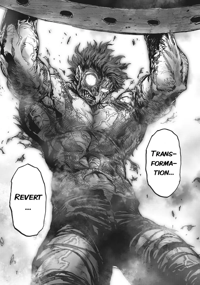 Read One Punch Man chapter 215 image 21 on Lezhin