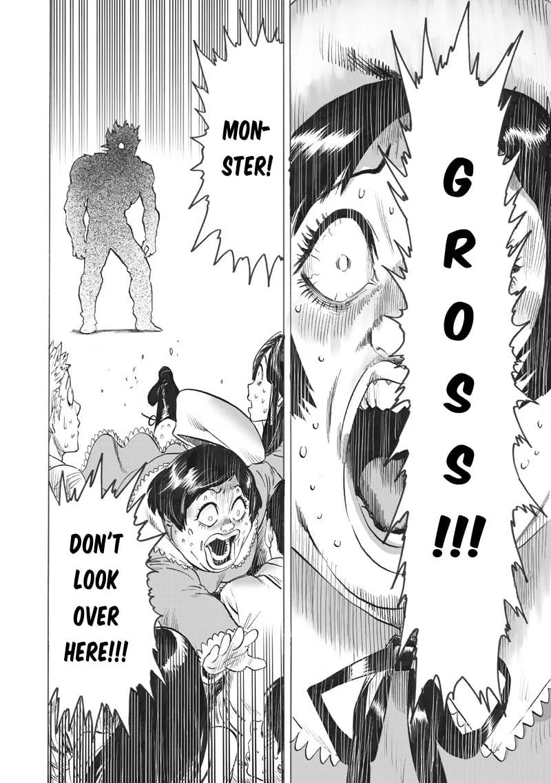 Read One Punch Man chapter 216 image 13 on Lezhin