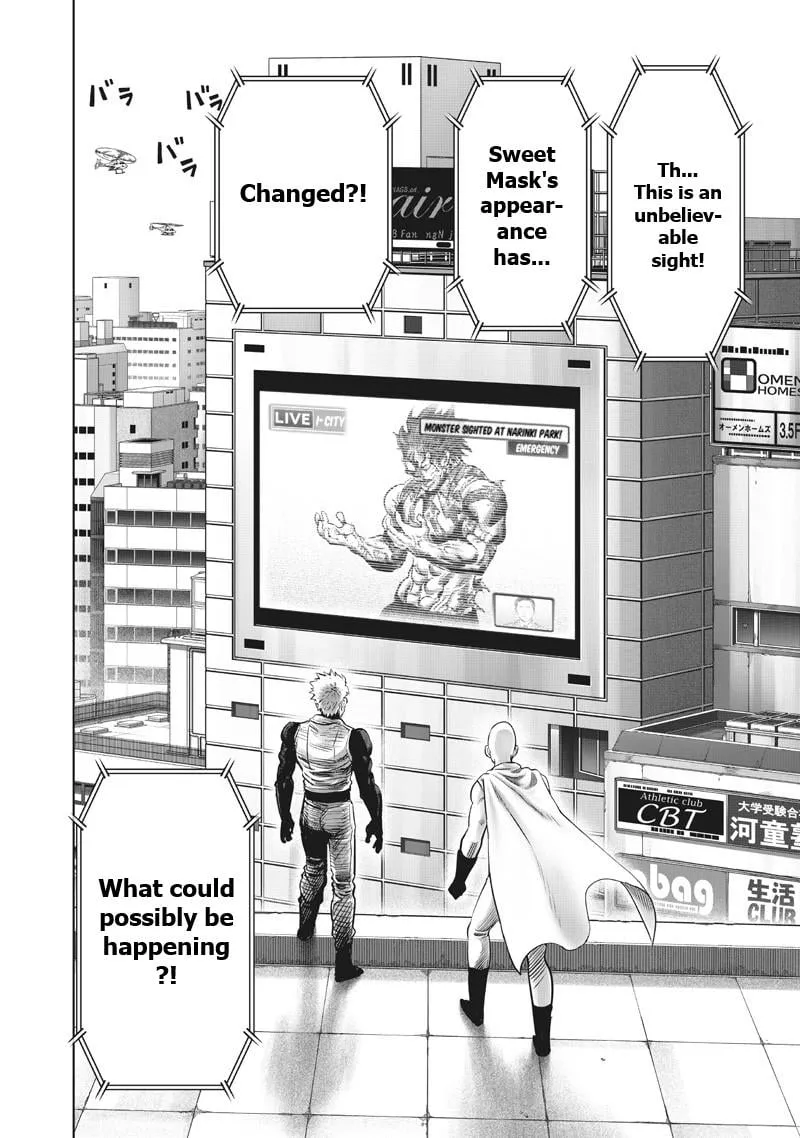 Read One Punch Man chapter 216 image 17 on Lezhin