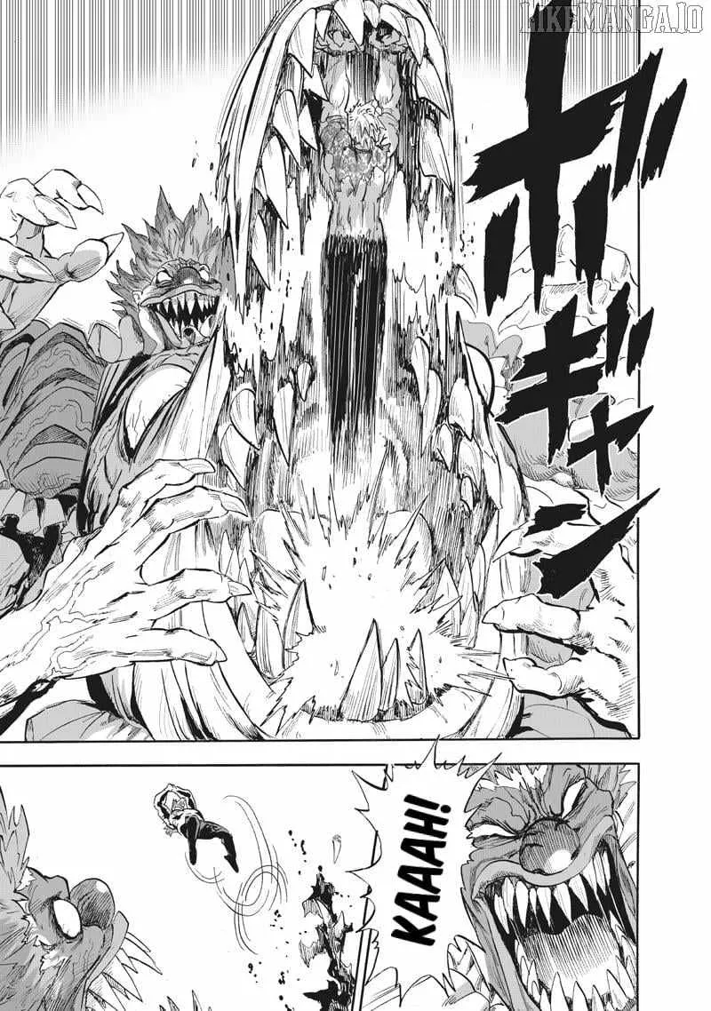 Read One Punch Man chapter 217 image 12 on Lezhin