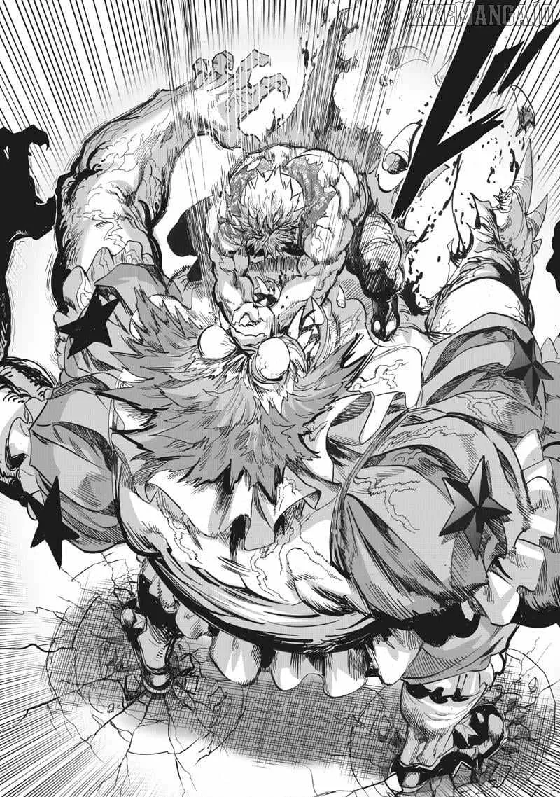 Read One Punch Man chapter 217 image 13 on Lezhin