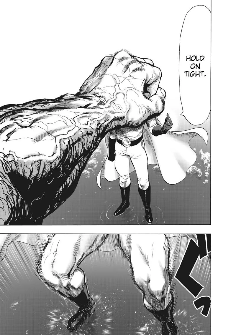 Read One Punch Man chapter 218 image 9 on Lezhin