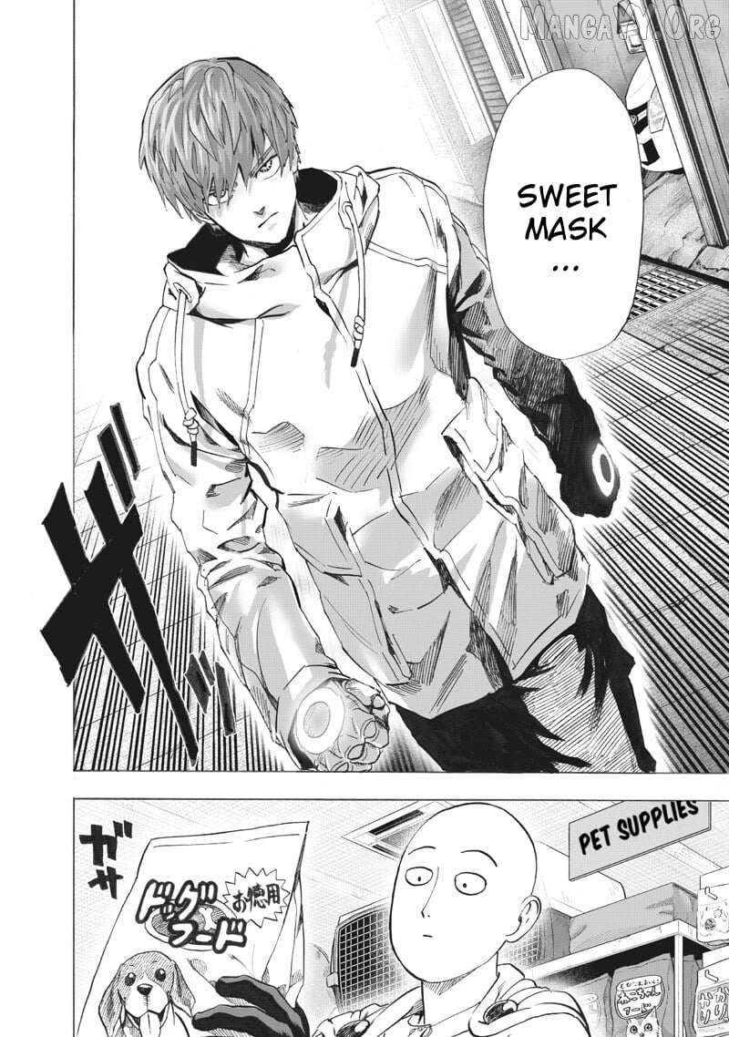 Read One Punch Man chapter 219 image 15 on Lezhin