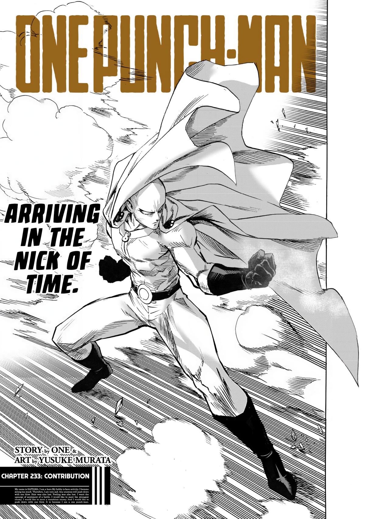 Read One Punch Man chapter 233 image 0 on Lezhin