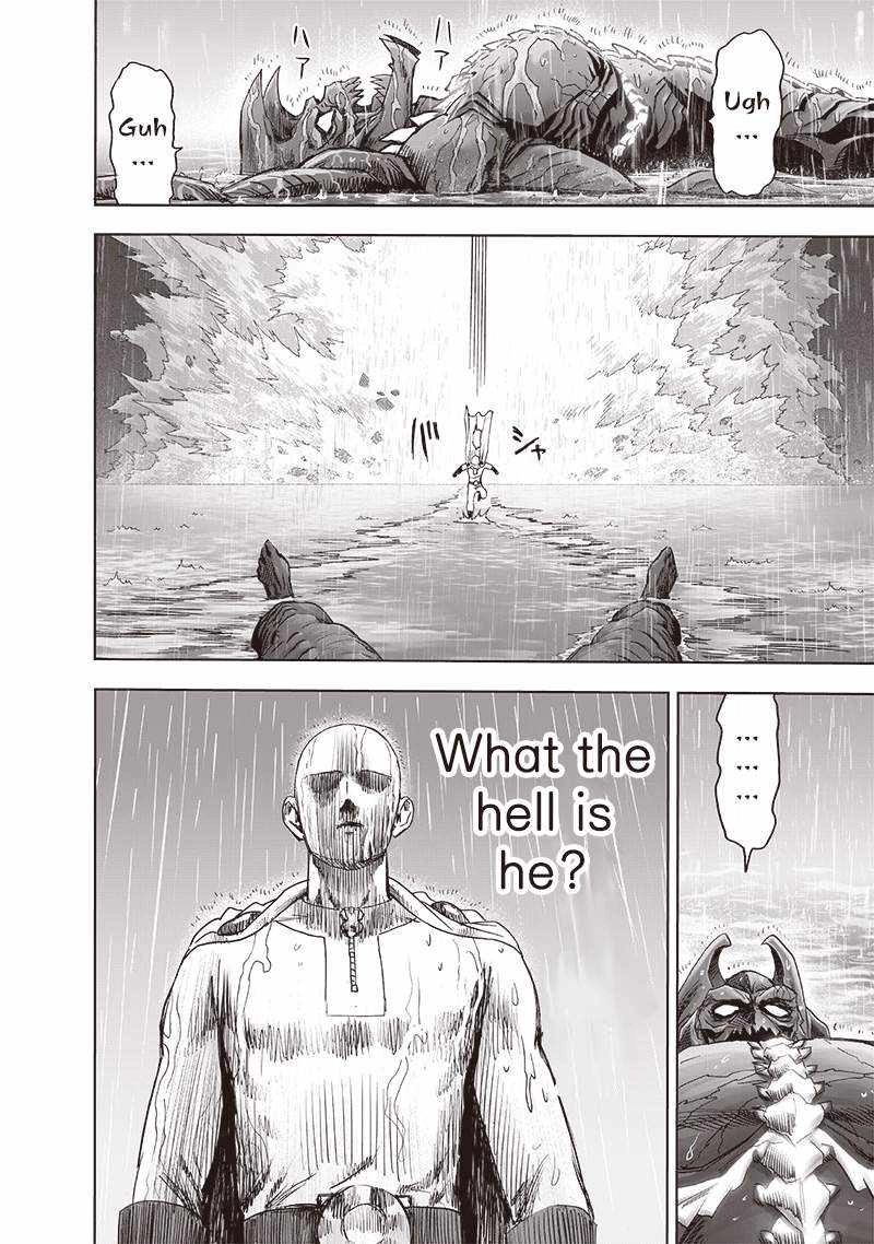 Read One Punch Man chapter 243 image 22 on Lezhin