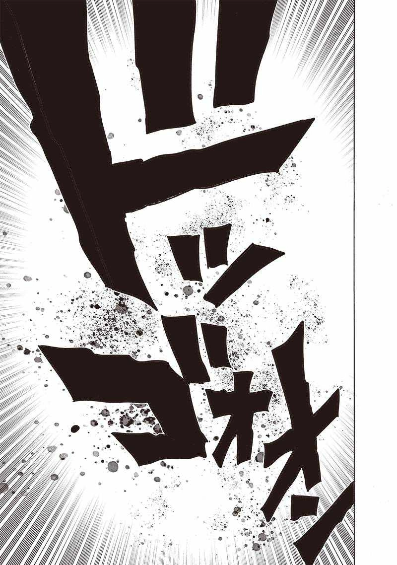 Read One Punch Man chapter 243 image 25 on Lezhin