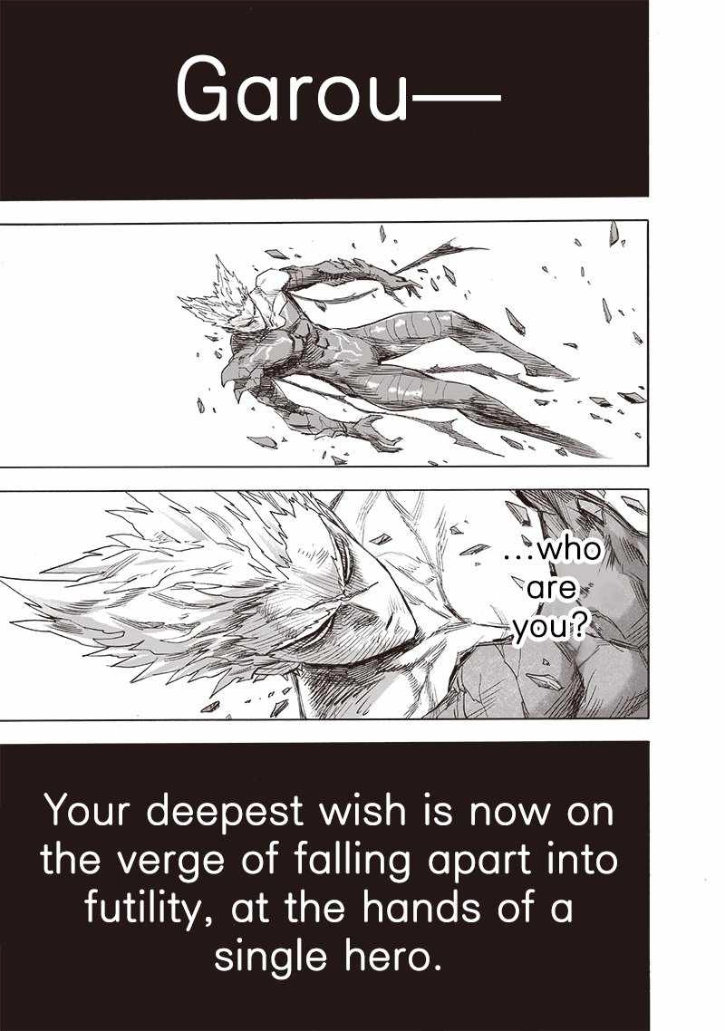 Read One Punch Man chapter 243 image 34 on Lezhin
