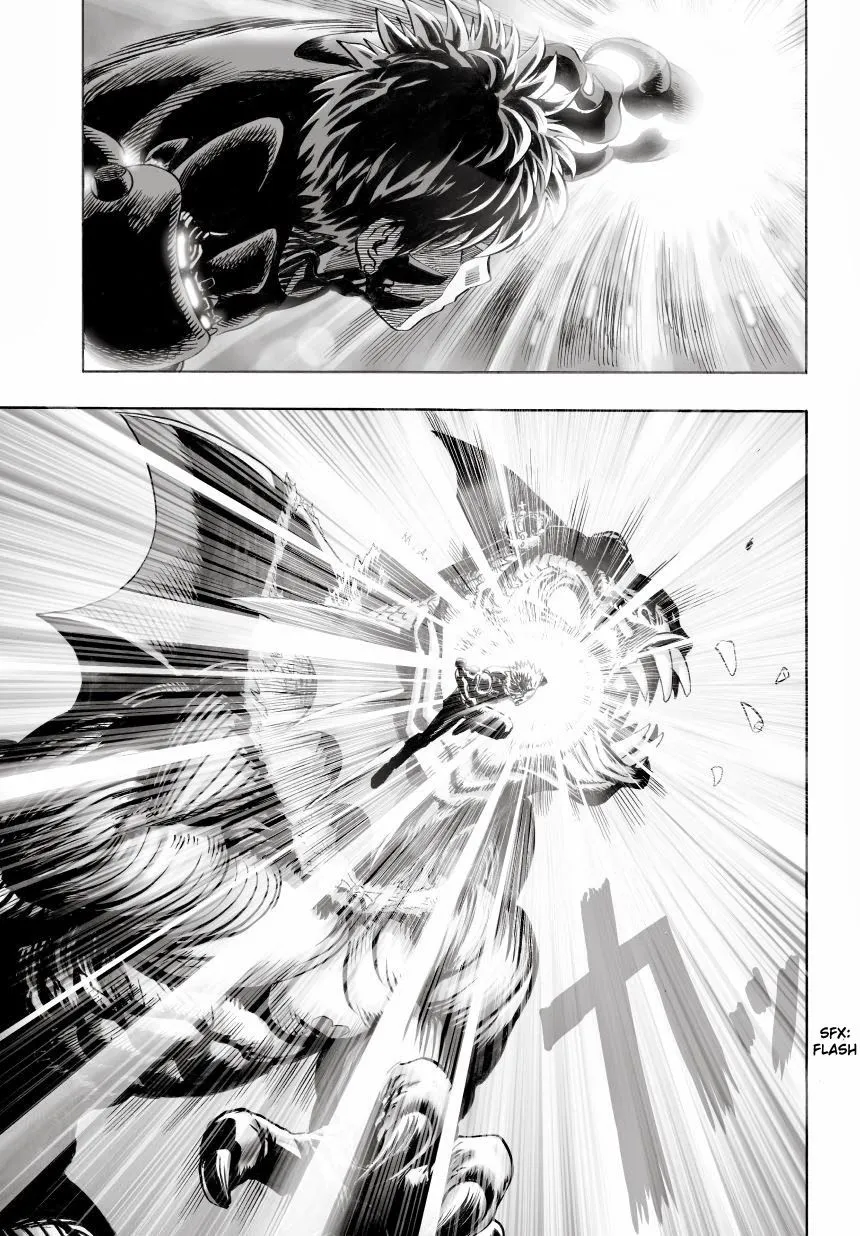 Read One Punch Man chapter 25.2 image 1 on Lezhin
