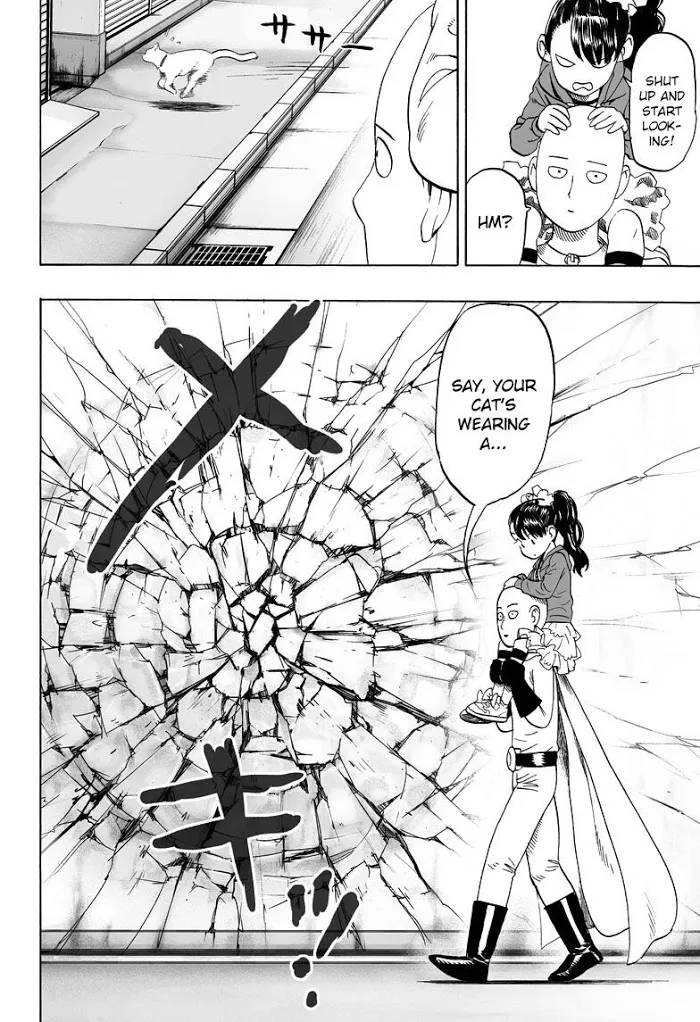 Read One Punch Man chapter 39.5 image 13 on Lezhin