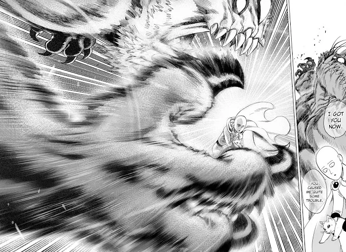 Read One Punch Man chapter 39.5 image 27 on Lezhin