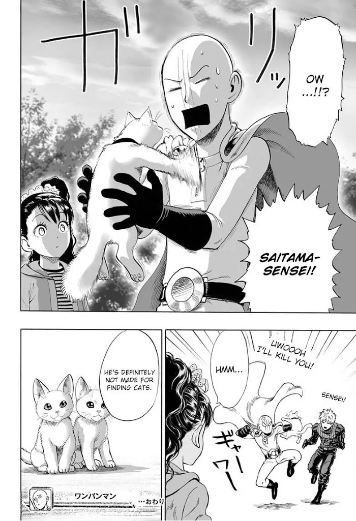 Read One Punch Man chapter 39.5 image 31 on Lezhin