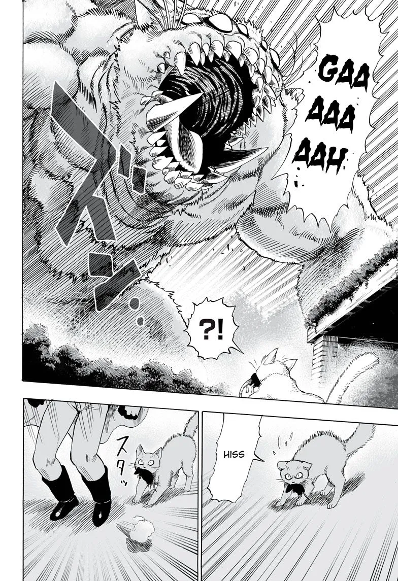 Read One Punch Man chapter 42.5 image 25 on Lezhin