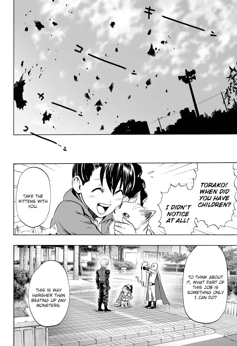 Read One Punch Man chapter 42.5 image 29 on Lezhin