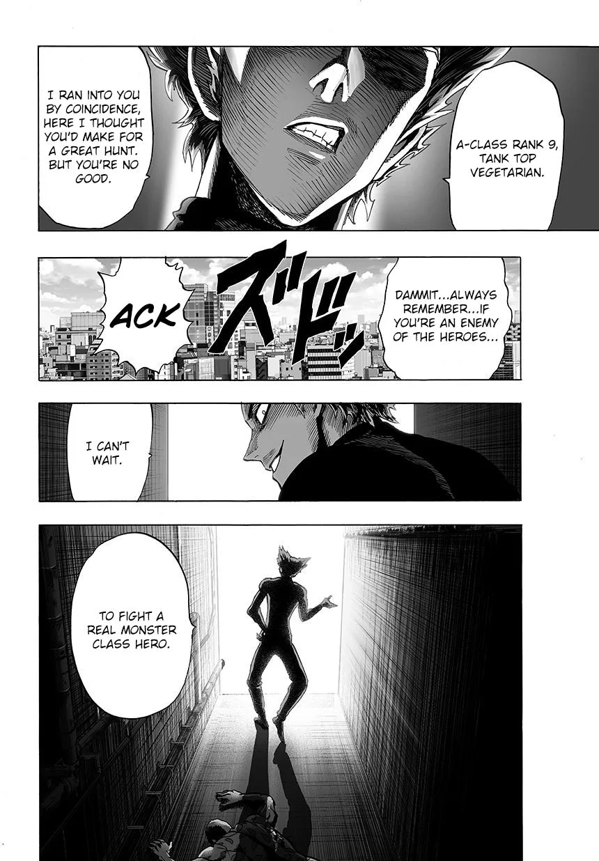 Read One Punch Man chapter 44.3 image 10 on Lezhin