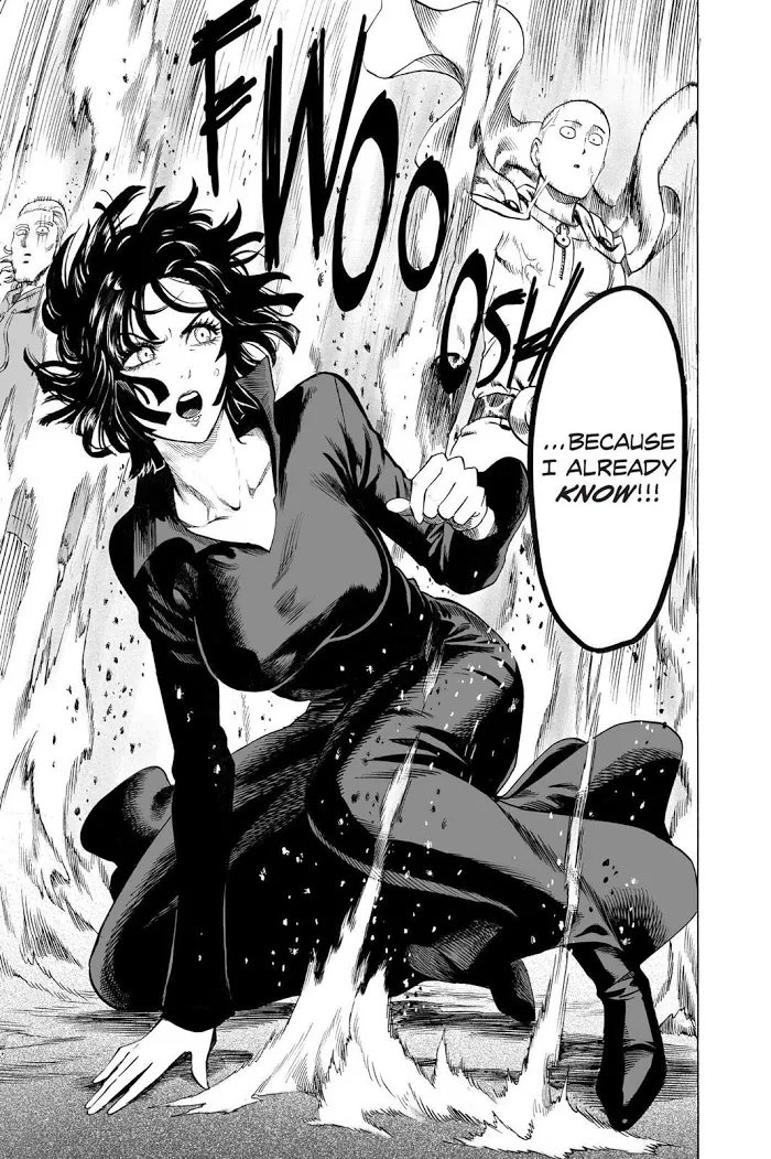 Read One Punch Man chapter 55.3 image 30 on Lezhin