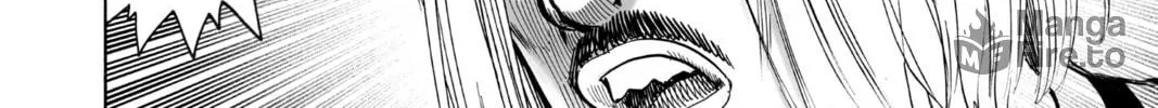 Read One Punch Man chapter 66.6 image 17 on Lezhin