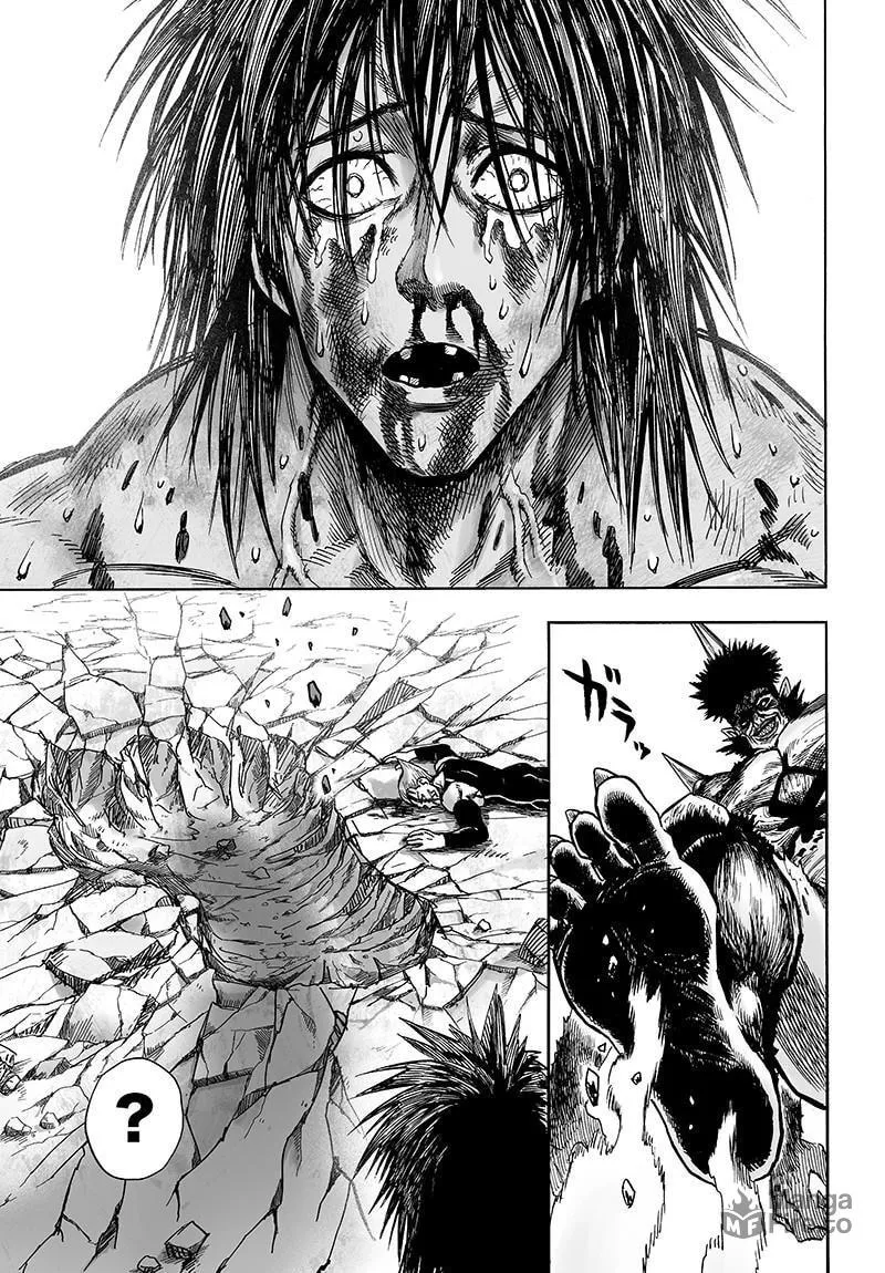 Read One Punch Man chapter 74.2 image 17 on Lezhin