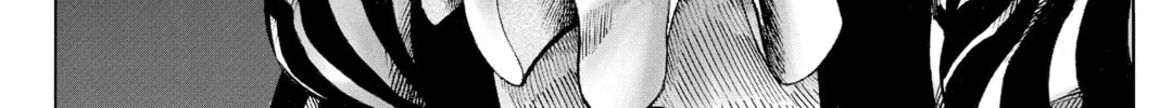 Read One Punch Man chapter 96.1 image 3 on Lezhin