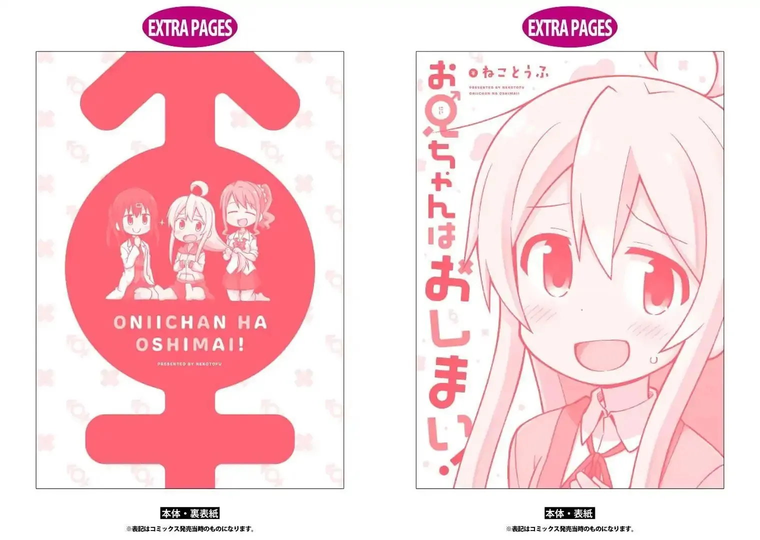 ONIMAI: I'm Now Your Sister! Chapter 10.9 page 31 - 