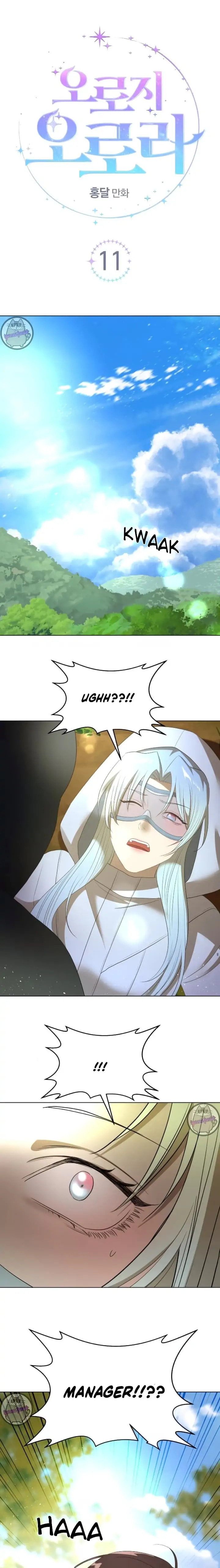 Read Only Aurora chapter 11 image 1 on Lezhin