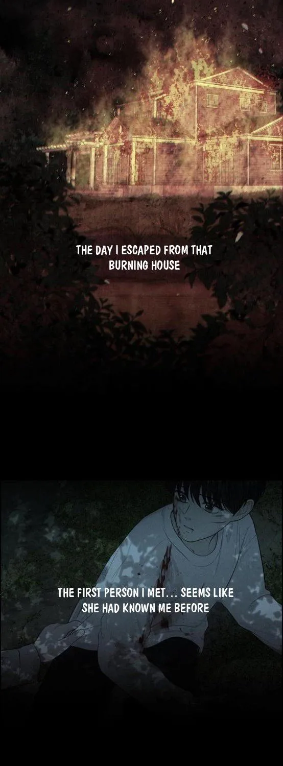 Read Only Hope chapter 15.5 image 8 on Lezhin