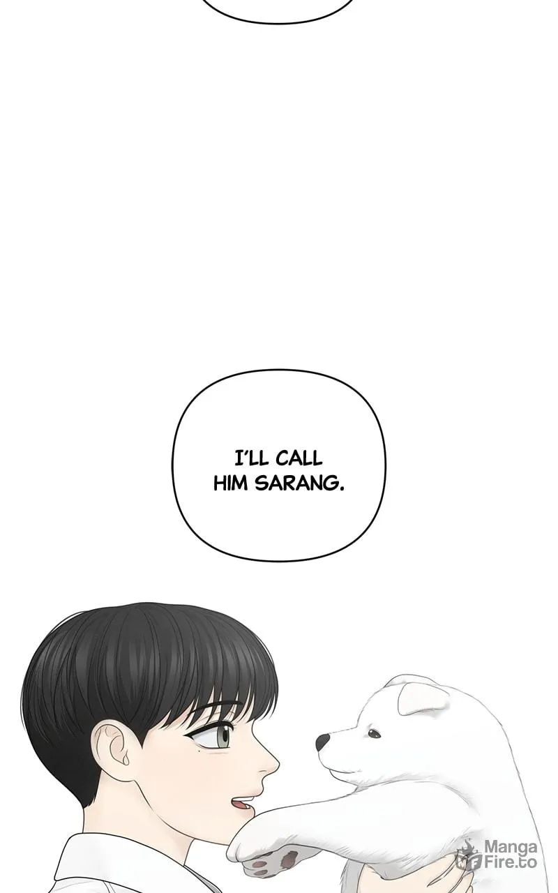 Read Only Hope chapter 55 image 59 on Lezhin