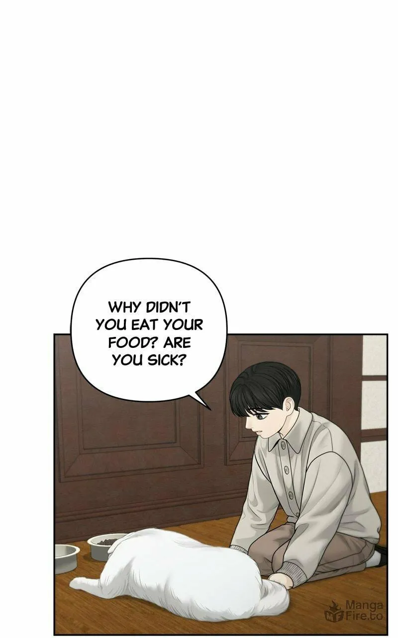 Read Only Hope chapter 56 image 26 on Lezhin