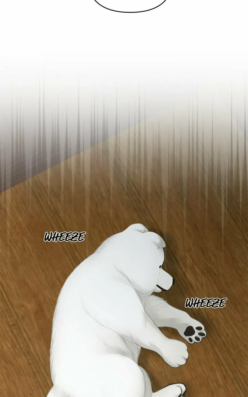 Read Only Hope chapter 56 image 40 on Lezhin