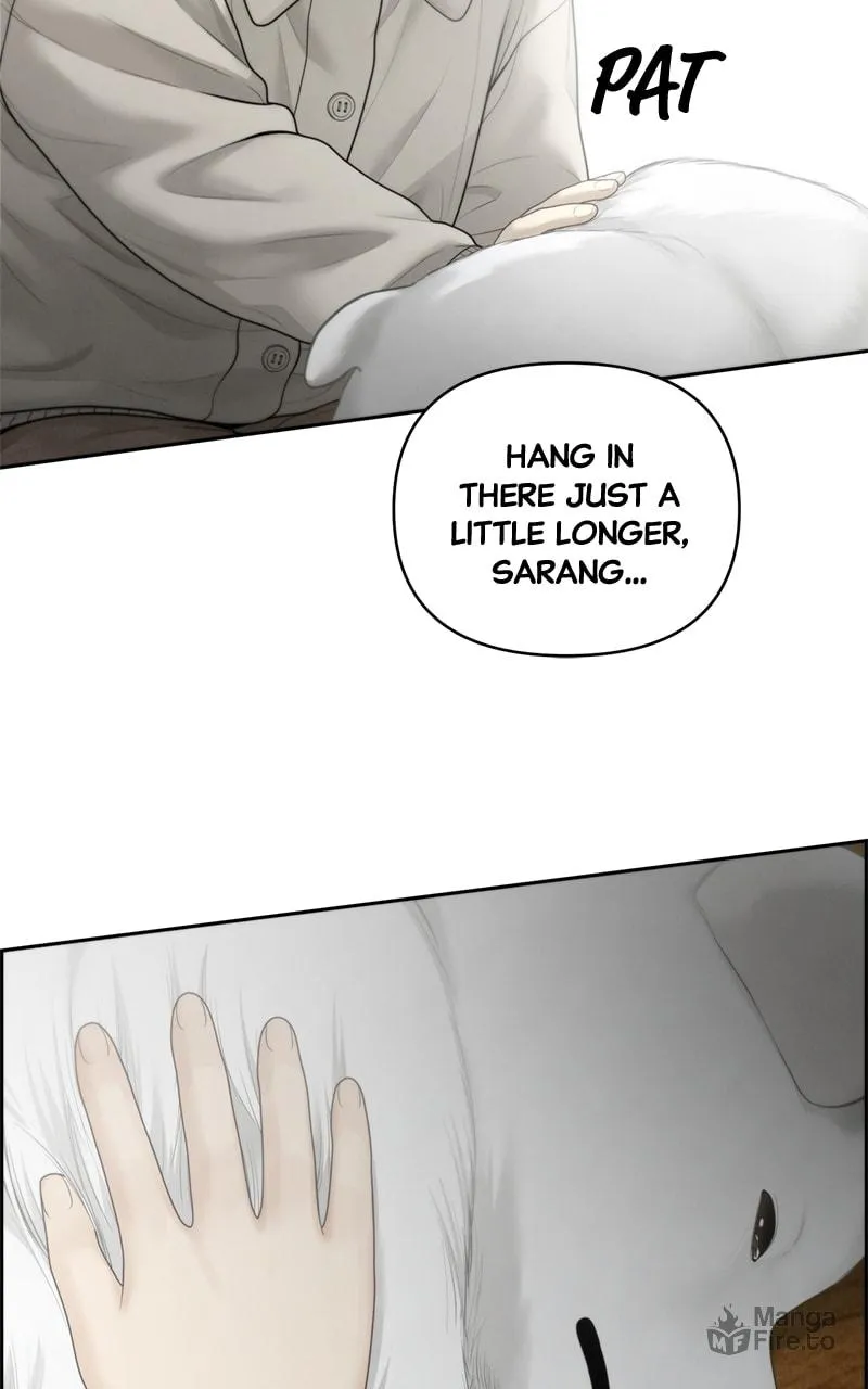 Read Only Hope chapter 56 image 59 on Lezhin